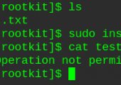 Linux Rootkit实现文件保护