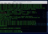 linux下ping程序实现